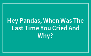 Hey Pandas, When Was The Last Time You Cried And Why?
