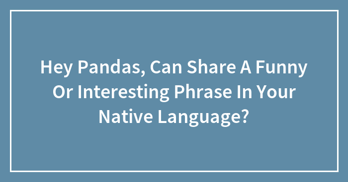 Hey Pandas, Can Share A Funny Or Interesting Phrase In Your Native Language? (Closed)