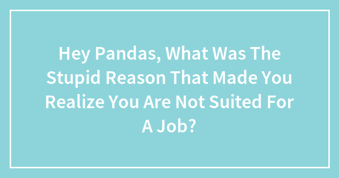 Hey Pandas, What Was The Stupid Reason That Made You Realize You Are Not Suited For A Job? (Closed)