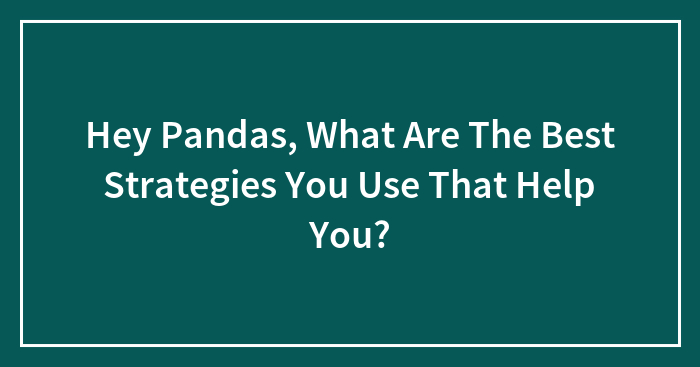 Hey Pandas, What Are The Best Strategies You Use That Help You? (Closed)