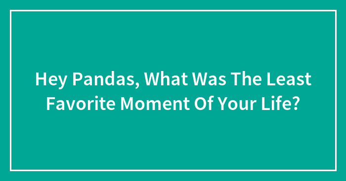 Hey Pandas, What Was The Least Favorite Moment Of Your Life?