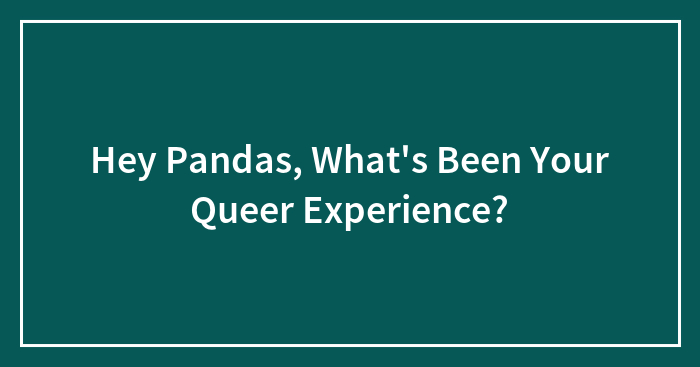 Hey Pandas, What’s Been Your Queer Experience? (Closed)