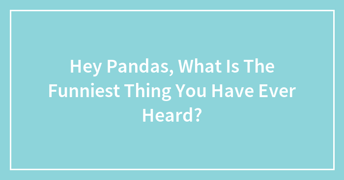 Hey Pandas, What Is The Funniest Thing You Have Ever Heard? (Closed)