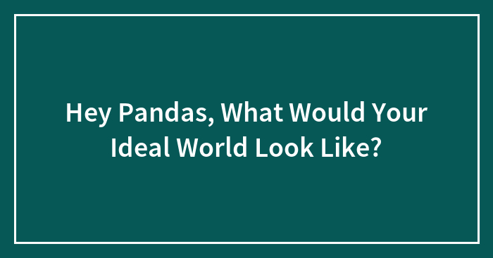 Hey Pandas, What Would Your Ideal World Look Like? (Closed)