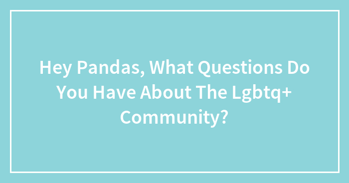 Hey Pandas, What Questions Do You Have About The Lgbtq+ Community?