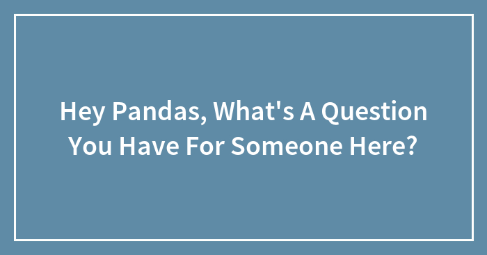 Hey Pandas, What’s A Question You Have For Someone Here?