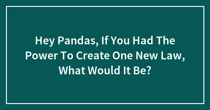 Hey Pandas, If You Had The Power To Create One New Law, What Would It Be? (Closed)