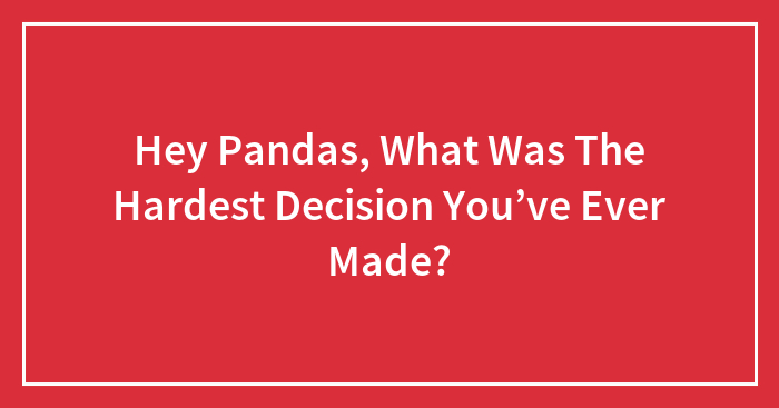 Hey Pandas, What Was The Hardest Decision You’ve Ever Made? (Closed)