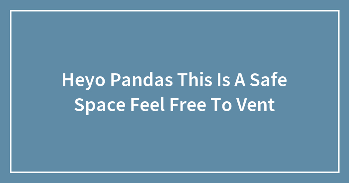 Heyo Pandas This Is A Safe Space Feel Free To Vent