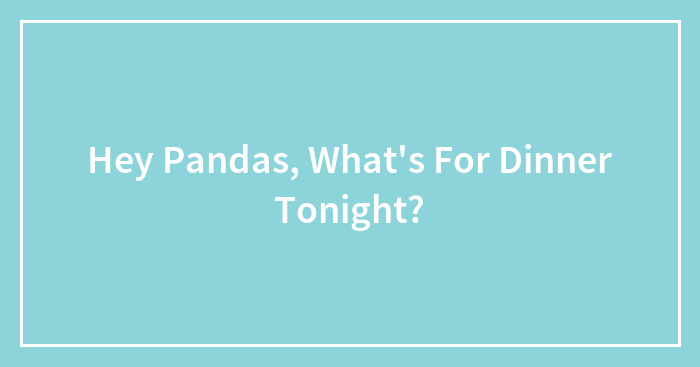Hey Pandas, What’s For Dinner Tonight?