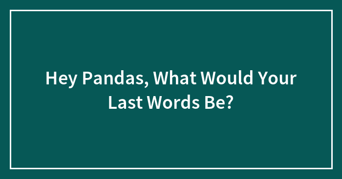 Hey Pandas, What Would Your Last Words Be?