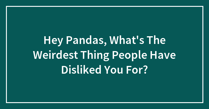 Hey Pandas, What’s The Weirdest Thing People Have Disliked You For? (Closed)