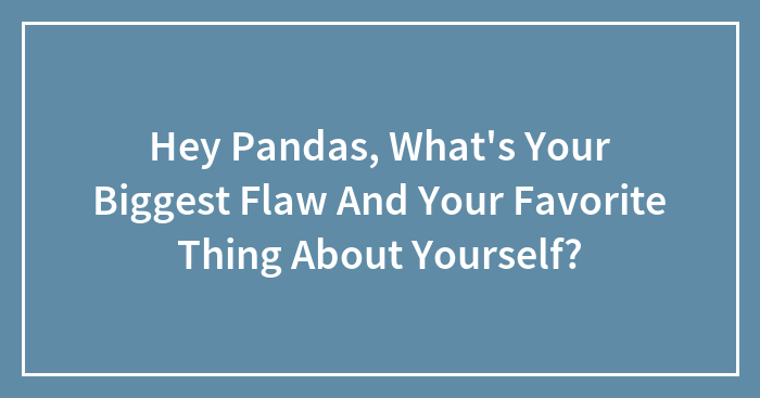 Hey Pandas, What’s Your Biggest Flaw And Your Favorite Thing About Yourself? (Closed)