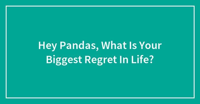 Hey Pandas, What Is Your Biggest Regret In Life? (Closed)