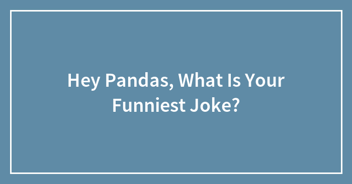 Hey Pandas, What Is Your Funniest Joke?