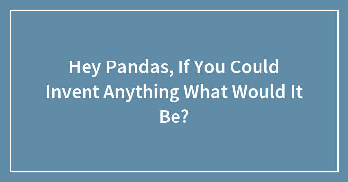 Hey Pandas, If You Could Invent Anything What Would It Be? (Closed)