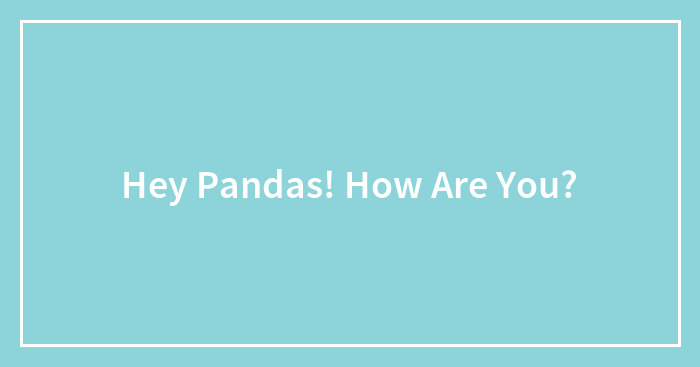 Hey Pandas! How Are You?