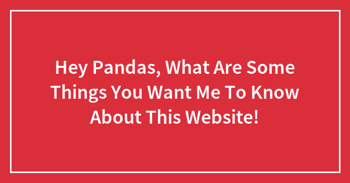 Hey Pandas, What Are Some Things You Want Me To Know About This Website!
