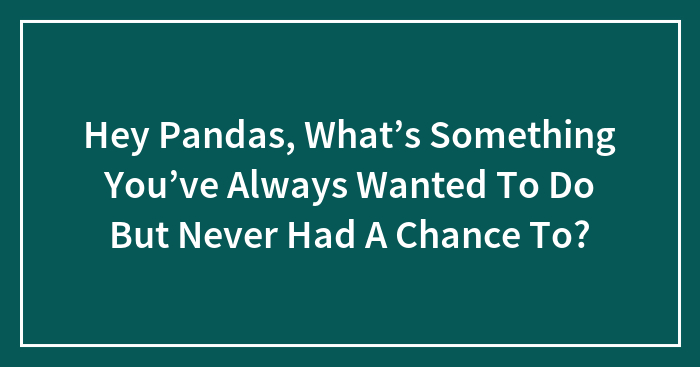 Hey Pandas, What’s Something You’ve Always Wanted To Do But Never Had A Chance To?