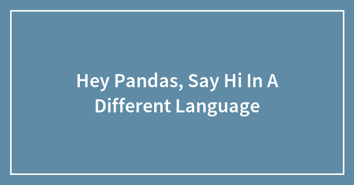Hey Pandas, Say Hi In A Different Language