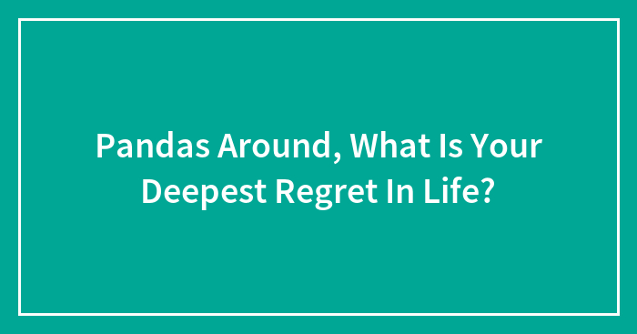 Pandas Around, What Is Your Deepest Regret In Life?
