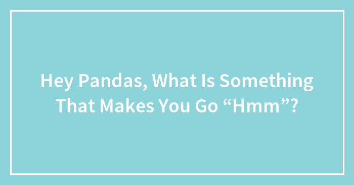 Hey Pandas, What Is Something That Makes You Go “Hmm”?