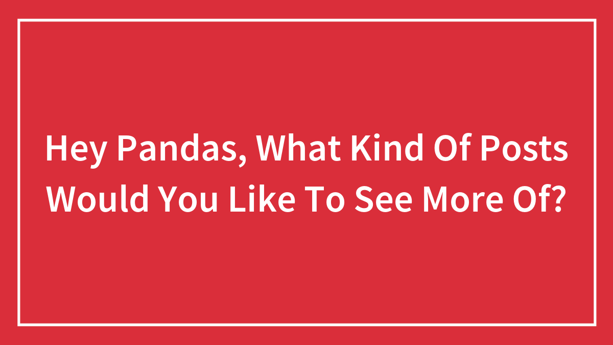 Hey Pandas, What Kind Of Posts Would You Like To See More Of? (Closed)