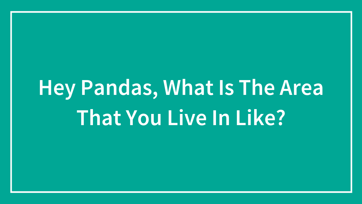 Hey Pandas, What Is The Area That You Live In Like? (Closed)