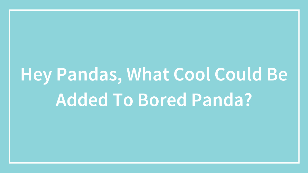 Hey Pandas, What Cool Could Be Added To Bored Panda? (Closed)