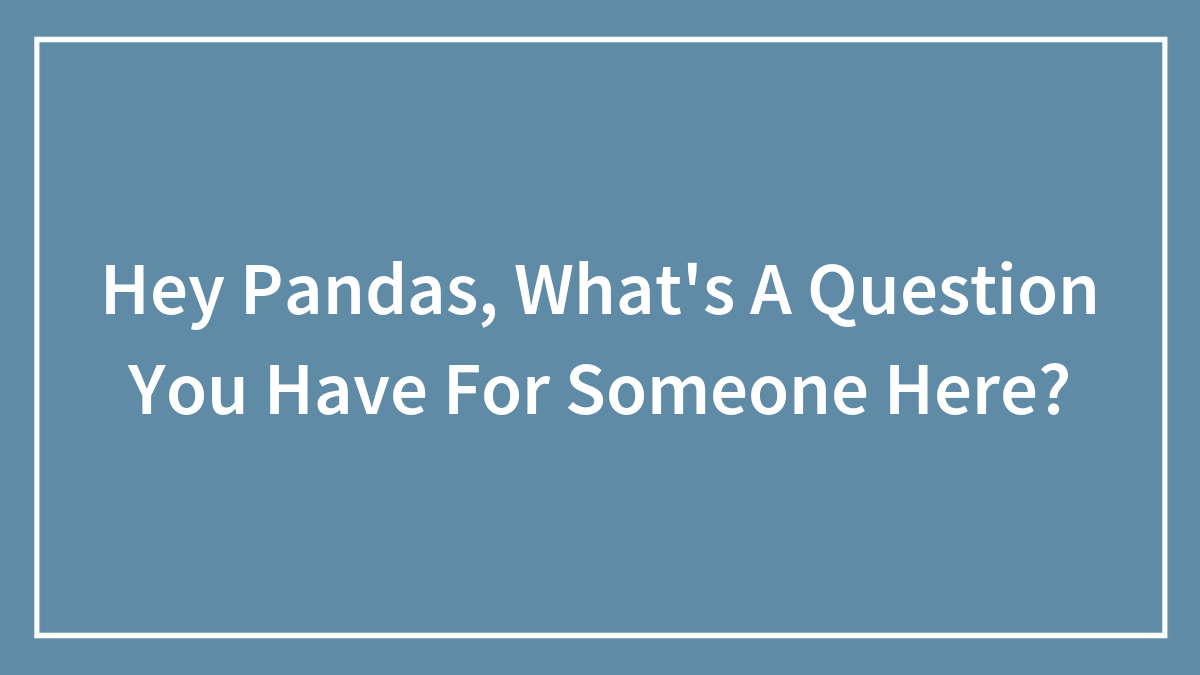 Hey Pandas, What’s A Question You Have For Someone Here?