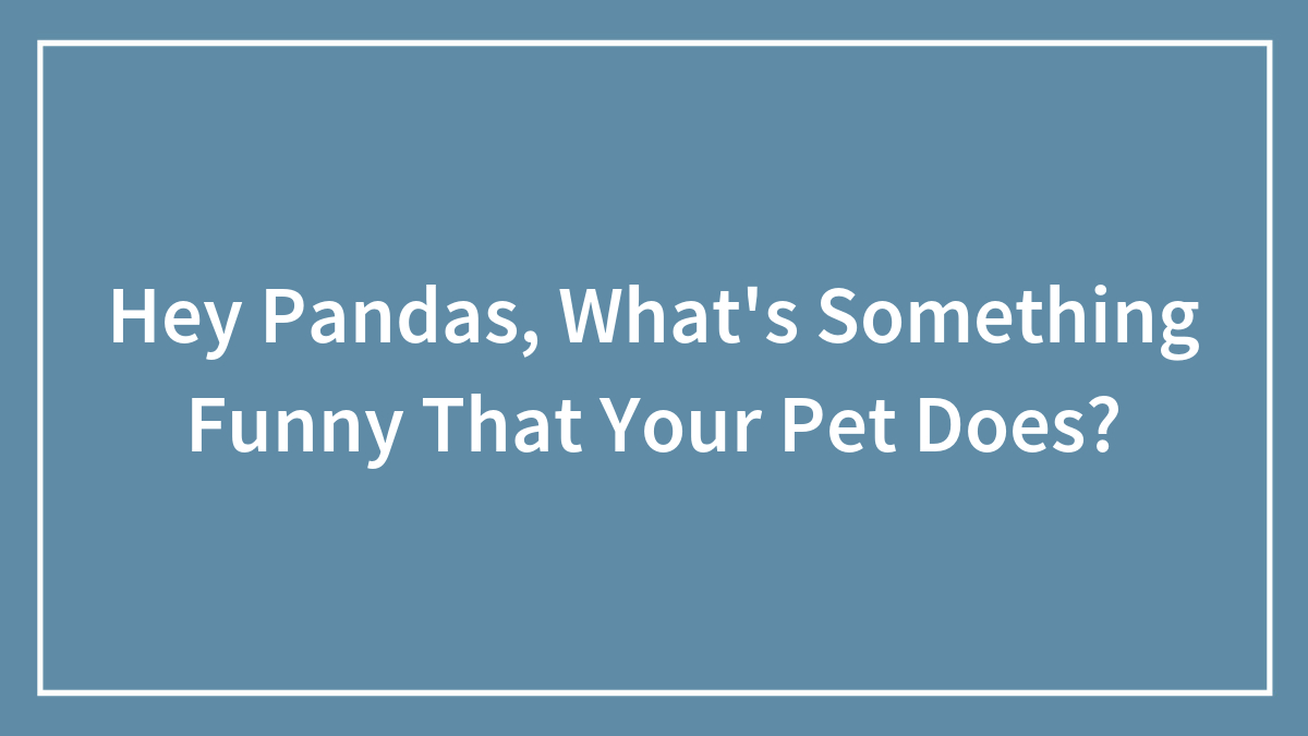 Hey Pandas, What’s Something Funny That Your Pet Does? (Closed)