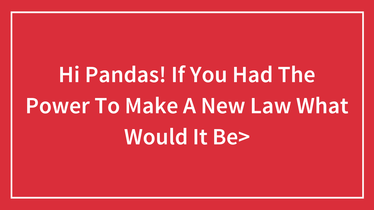 Hi Pandas! If You Had The Power To Make A New Law What Would It Be>