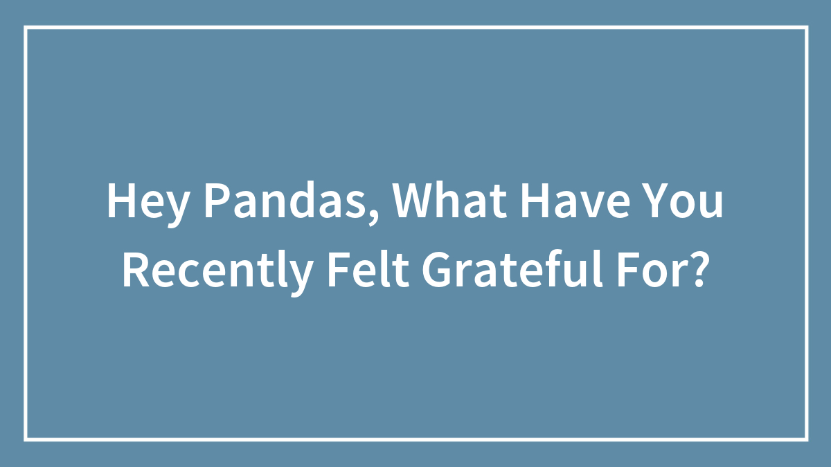 Hey Pandas, What Have You Recently Felt Grateful For? (Closed)