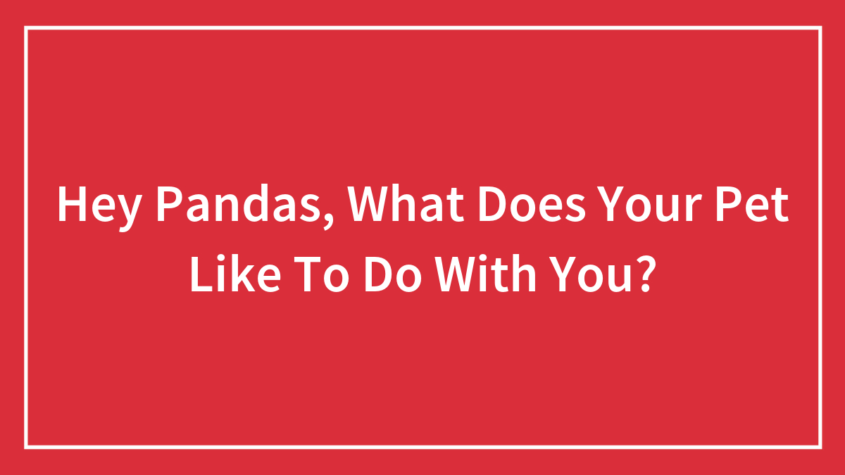 Hey Pandas, What Does Your Pet Like To Do With You? (Closed)