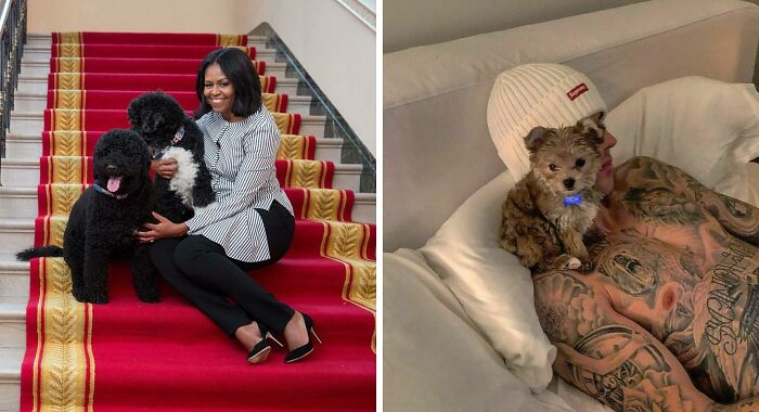 79 Photos Of Celebrities With Pets To Melt Your Heart