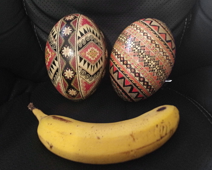 Los huevos de Pascua ucranianos de mi padre están hechos con huevos de emú. Plátano para comparar