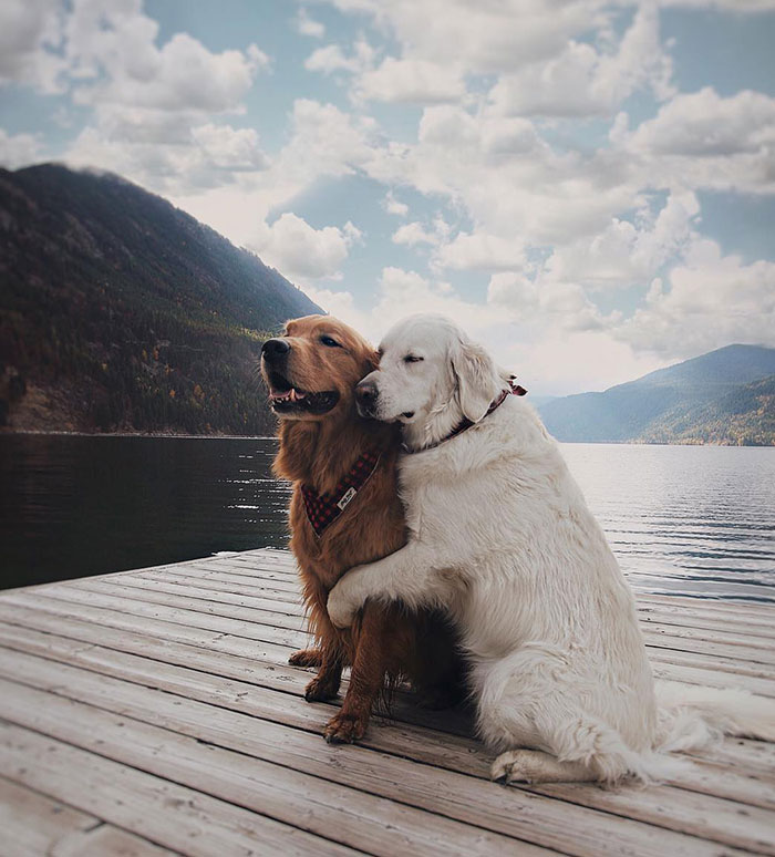 Posing For A Beautiful Shot By The Lake