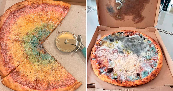 50 Pizza Crimes That Are Way Worse Than Pineapple On Pizza
