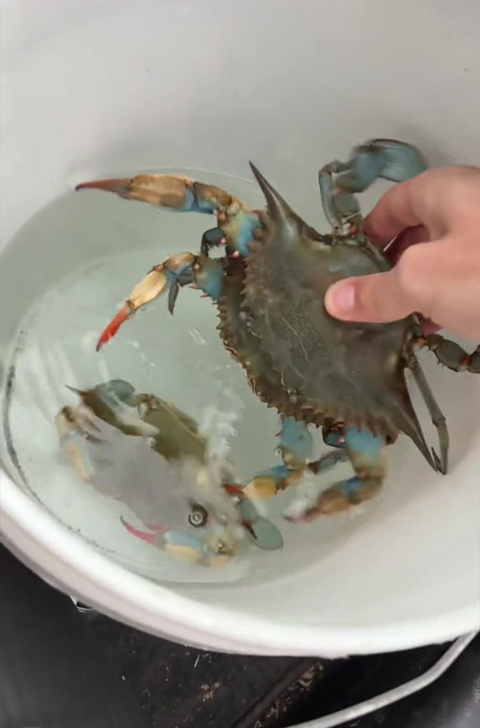 This Man Has An "Eel Pit" Under His Home And It's Making The Internet Lose Its Mind This Man Has An "Eel Pit" Under His Home And It's Making The Internet Lose Its Mind