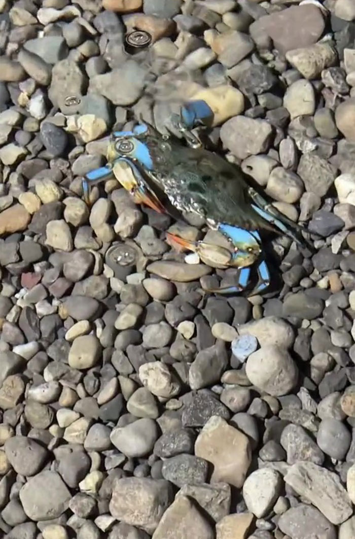 This Man Has An "Eel Pit" Under His Home And It's Making The Internet Lose Its Mind This Man Has An "Eel Pit" Under His Home And It's Making The Internet Lose Its Mind