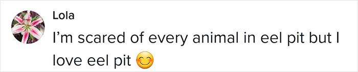 This Man Has An "Eel Pit" Under His Home And It's Making The Internet Lose Its Mind This Man Has An "Eel Pit" Under His Home And It's Making The Internet Lose Its Mind