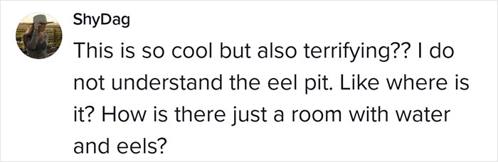 This Man Has An "Eel Pit" Under His Home And It's Making The Internet Lose Its Mind This Man Has An "Eel Pit" Under His Home And It's Making The Internet Lose Its Mind