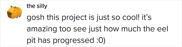 This Man Has An "Eel Pit" Under His Home And It's Making The Internet Lose Its Mind This Man Has An "Eel Pit" Under His Home And It's Making The Internet Lose Its Mind