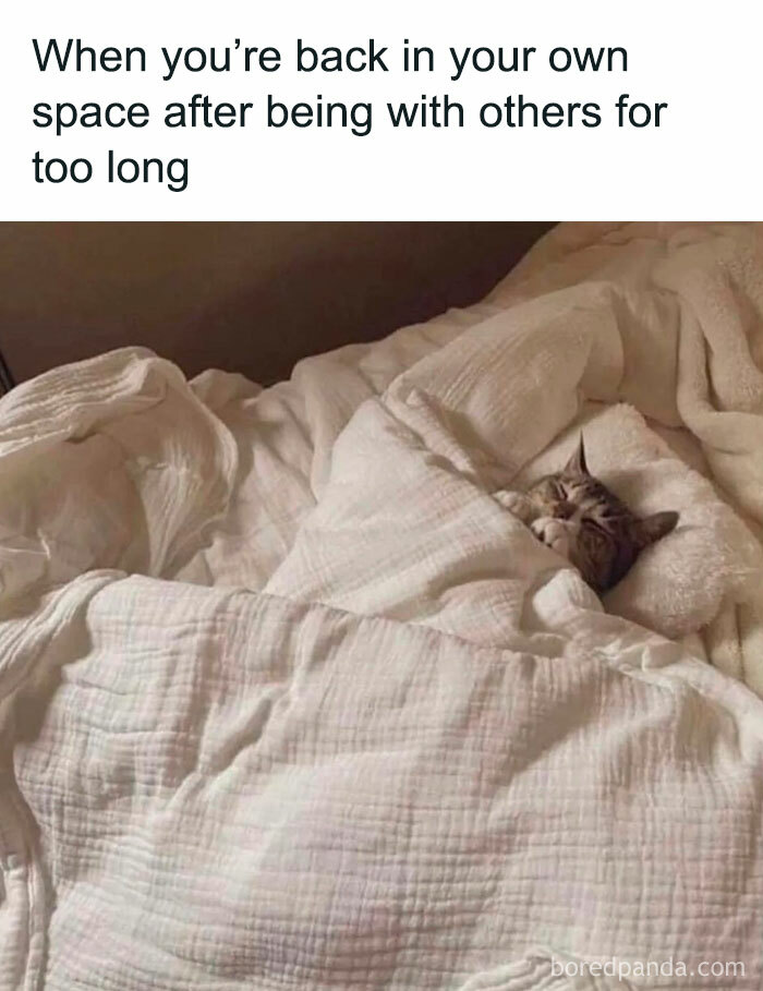 Facebook-Group-Shares-Funny-Pics-Memes