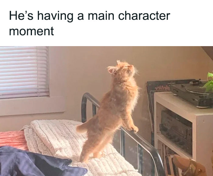 Facebook-Group-Shares-Funny-Pics-Memes