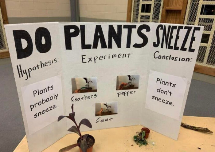 Funny-Low-Quality-Stories