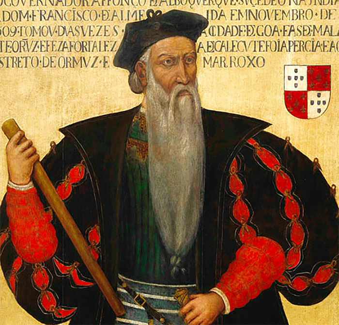 colorful Alfonso De Albuquerque portrait