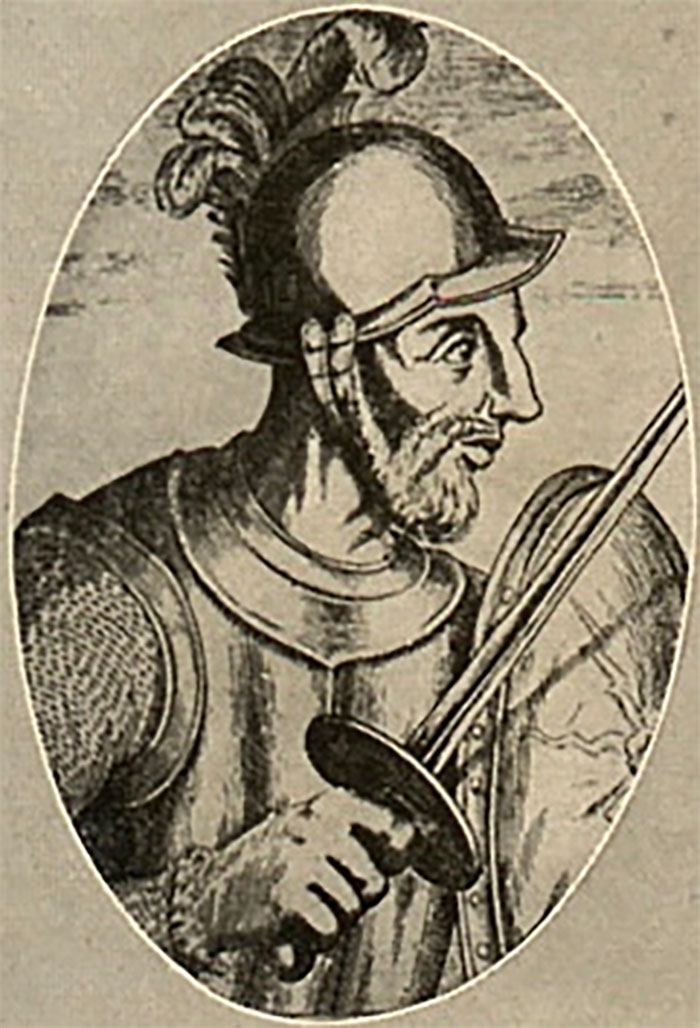 brown and black Alonso De Ojeda portrait