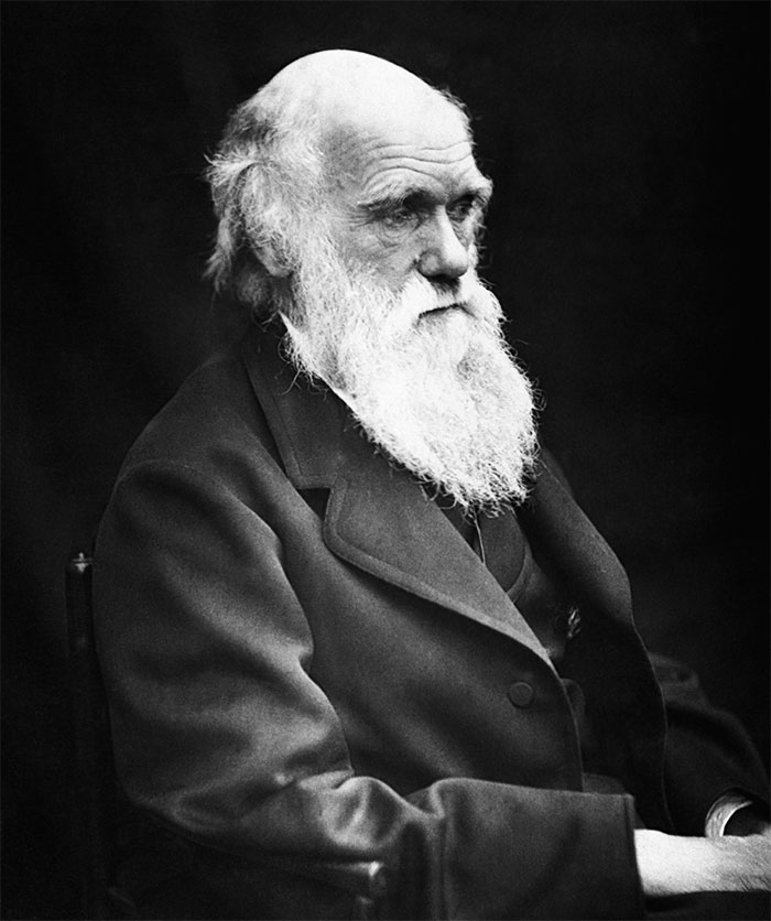 black and white Charles Darwin portrait