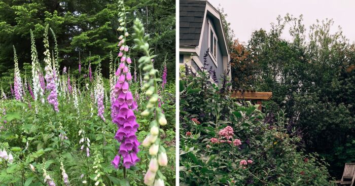 Hey Pandas, April Is A National Garden Month, So Show Us Your Gardens